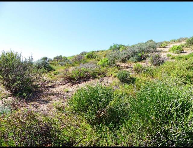 LAND FOR SALE IN ST HELENA VIEWS